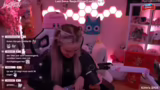 Stream-Start und Begrüßung