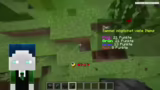 Minecraft Collect Game: Teamw…