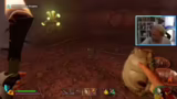 Ameisenhöhle, Quest und Spinn…