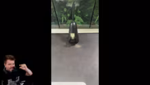 ️Zurück in DE, also ab in den Stream! ️