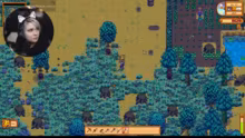Stardew Grind !wild