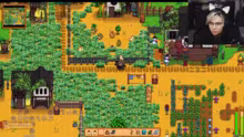 Stardew Sucht auf der Solofarm