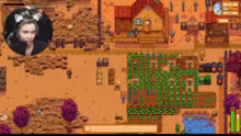 Stardew Grind !wild