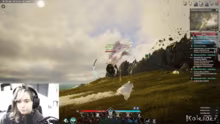 Skyflag & Aion 2 !kalender !Tierheim
