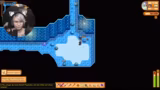 Stardew Valley