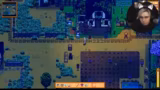 Stardew Valley