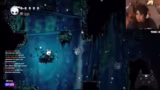 Hollow Knight