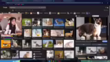Zusammenarbeit mit Streamern…