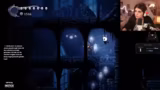 Hollow Knight