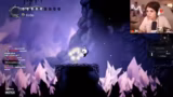 Hollow Knight
