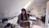 Umgang mit Kater Jinx und Zus…