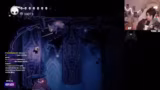 Hollow Knight