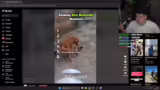 Just Chatting