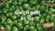 OMAS Gemütlicher Stream Stream vom 25.1…