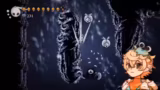Hollow Knight