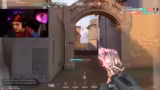 Just Chatting