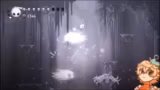 Hollow Knight
