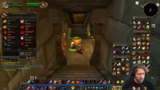 Tier-Imitationen und WoW-Proj…