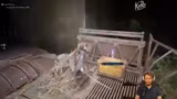 Beast of Reincarnation
