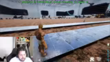 ARK: Survival Evolved