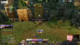 World of Warcraft
