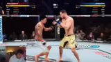 Ankündigung für UFC Cup Teiln…