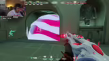 VALO 5 STACK MIT DEM SCHÖNEN BAITRAD kr…