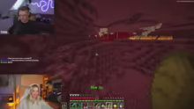 BIN LIVE
