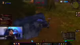 Giveaways und Stream-Pläne
