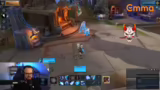 Erfahrungen mit Wildstar und…
