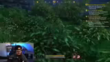 Giveaways und Community-Inter…