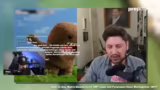 Simon Unge's Aussagen über Py…
