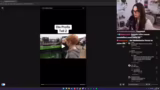 Just Chatting