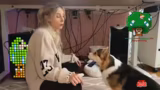 Just Chatting