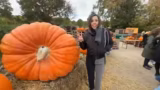 Ankunft auf der Kürbisfarm un…