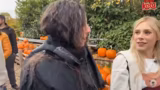 Halloween-Stream und Holiday…