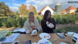 Kreatives Bemalen von Kürbist…
