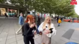 Verkostung einer Grille im Di…