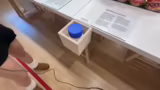 Ekelhafte Speisen im Disgusti…
