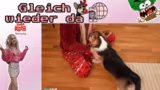 NO BOYS! BFF Day mit @lillythechilly! O…
