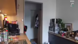 Rezeptvorbereitung und Katzen…