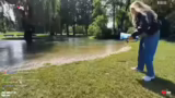 Beobachtungen im Park und Vor…