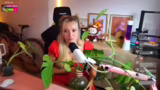 Just Chatting