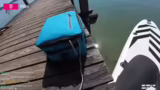 Begegnung mit einem Nackten u…