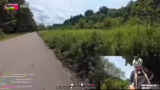 Afrikanische Schweinepest, Wi…