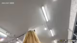 IRL
