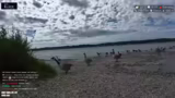 Pläne für den Umzug und zukün…