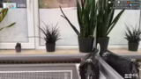 Streamen beim Friseur und Haa…