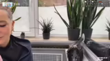 IRL
