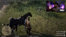 Unendlicher Pack Grind - ROAD TO 99er S…